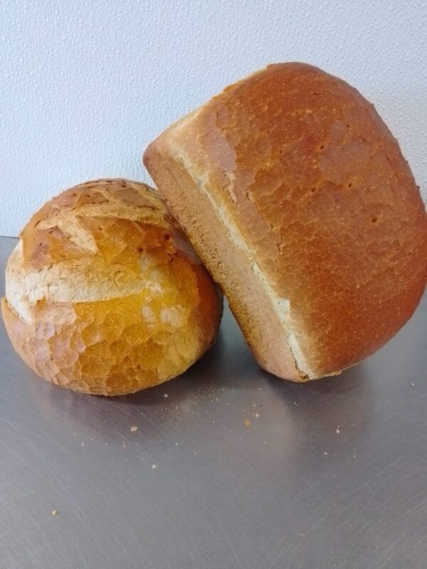 Lang wit brood